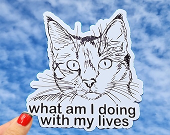 Cat Sticker, What Am I Doing With My Lives Sticker, Funny Cat Sticker, What Am I Doing, Cat Meme, 9 Lives, Cat Life