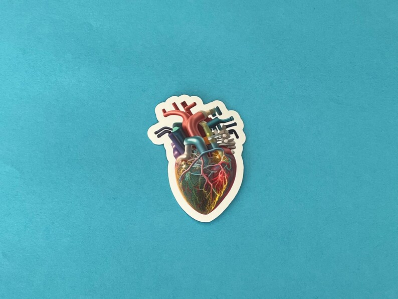Human Heart Sticker Anatomical Heart Sticker Nurse and - Etsy