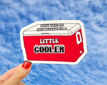 Don't Hate Me Just Because I'm A Little Cooler Sticker, Little Cooler Sticker, I'm Cooler Sticker, Funny Cooler Sticker Decal