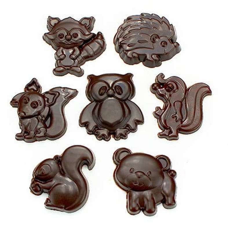 Professional Polycarbonate Mold for Chocolate cute Woodland Etsy