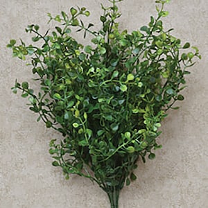 Floral Pick / Spray / Bush - Peppergrass in Medium Green - 14" High - Spring, Summer, Farmhouse - Floral Arranging - WIC-F90171GN