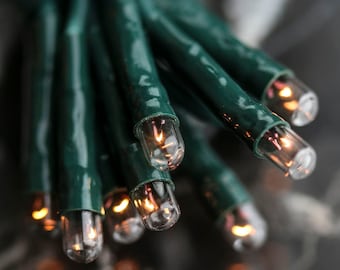 May include: Close-up of a string of clear Christmas lights with warm white bulbs. The lights are strung on green wire.