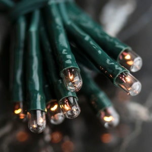 May include: Close-up of a string of clear Christmas lights with warm white bulbs. The lights are strung on green wire.