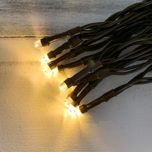 20 Count LED Light String Teeny Rice Clear Warm White Bulbs Brown Cord Electric - Christmas - WHD-YT005