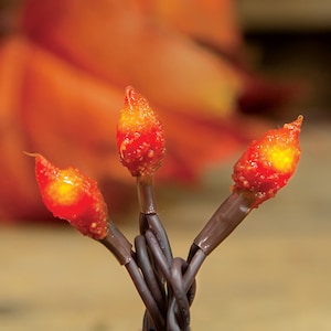 20 Count Light String Bittersweet Silicone Dipped Bulbs Brown Cord Electric Plug with Orange Bulbs - Fall - WIC-MCL20BT