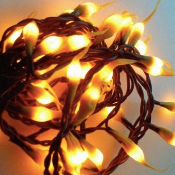 20 Count Silicone Dipped Teeny Bulbs Light String Strand Set - Brown Cord - Christmas Light String - Primitive Rustic WIC-M620416