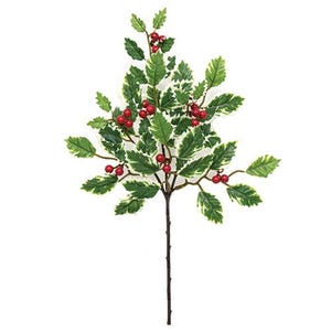 May include: A sprig of artificial holly with green and white variegated leaves and bright red berries. The stem is a dark brown color. This festive decoration is perfect for holiday arrangements and crafts.