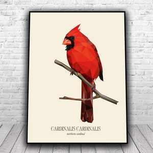 Northern Cardinal - Low poly digital art (download)