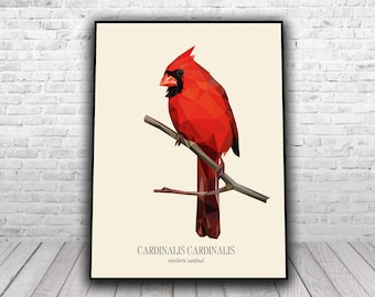 Northern Cardinal - Low poly digital art (download)