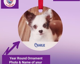 Ornamento personalizado para animais de estimação, o ano todo, o amor verdadeiro tem quatro patas, para cães e gatos com foto e nome, ornamento de alumínio, lembrança para pais de animais de estimação