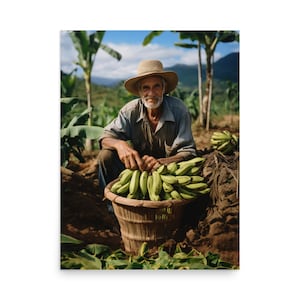 Plantain Harvest • Poster Print
