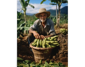 Plantain Harvest • Poster Print