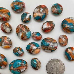 Spiny Oyster, Kingman Turquoise & Bronze Loose Oval Beads/ Assorted Sizes/ Sold Individually