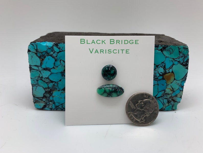 May include: Two pieces of green Black Bridge variscite cabochons, one round and one oval, next to a US quarter for size comparison. The card reads "Black Bridge Variscite".