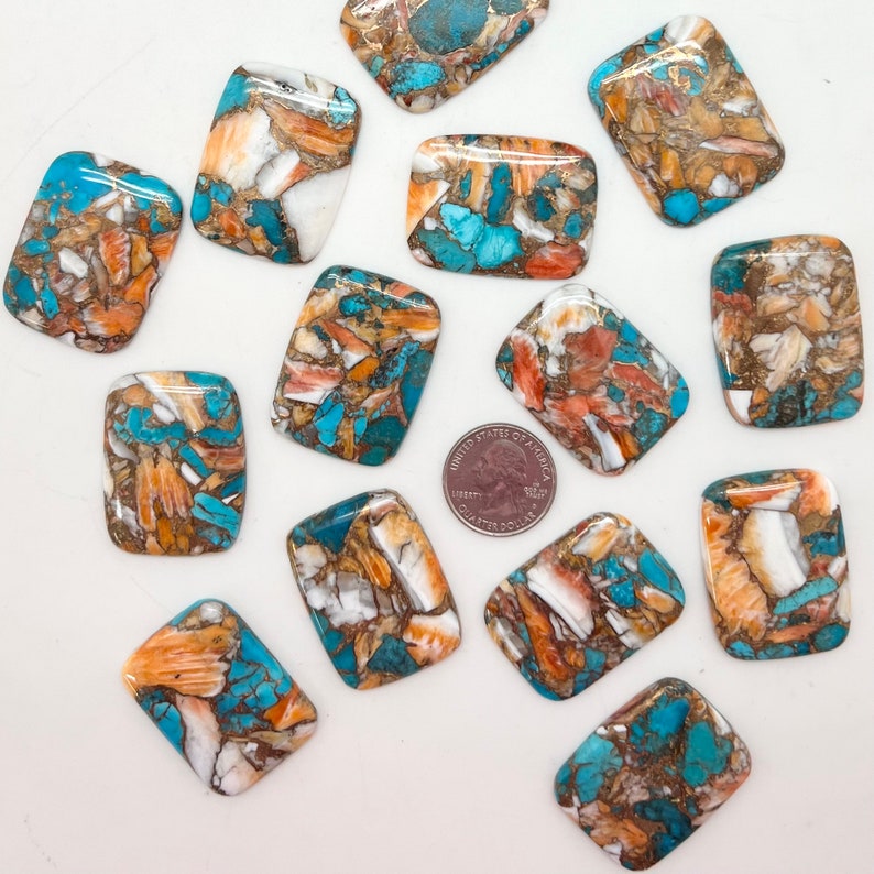 Kingman Turquoise Spiny Oyster Shell & Bronze 30x40mm Etsy