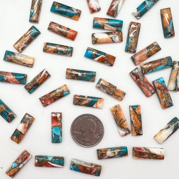 Kingman Turquoise, Spiny Oyster Shell & Bronze 8x23mm Rectangle Bar Cabochons - Sold Individually