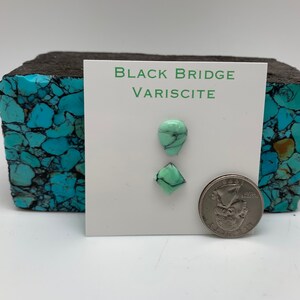 May include: Two green variscite cabochons, one teardrop shaped and one square, on a white card with the text "Black Bridge Variscite". A US quarter is shown for scale.