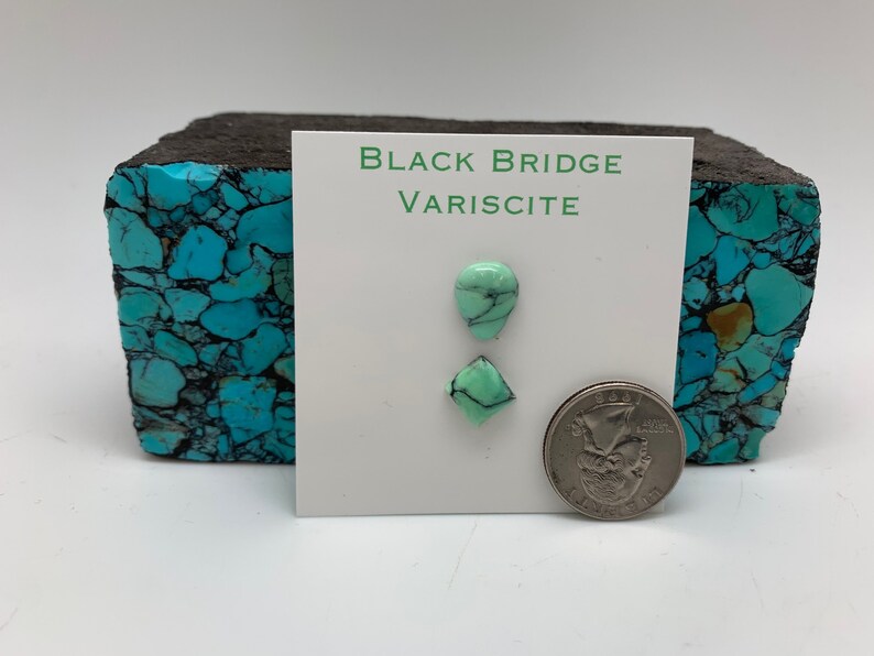 May include: Two green variscite cabochons, one teardrop shaped and one square, on a white card with the text "Black Bridge Variscite". A US quarter is shown for scale.