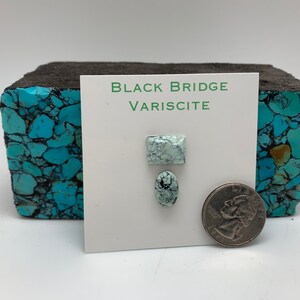 May include: Two pieces of Black Bridge Variscite, one square and one oval, are shown next to a UK 20 pence coin for size comparison. The stones are a light green colour with white veins.