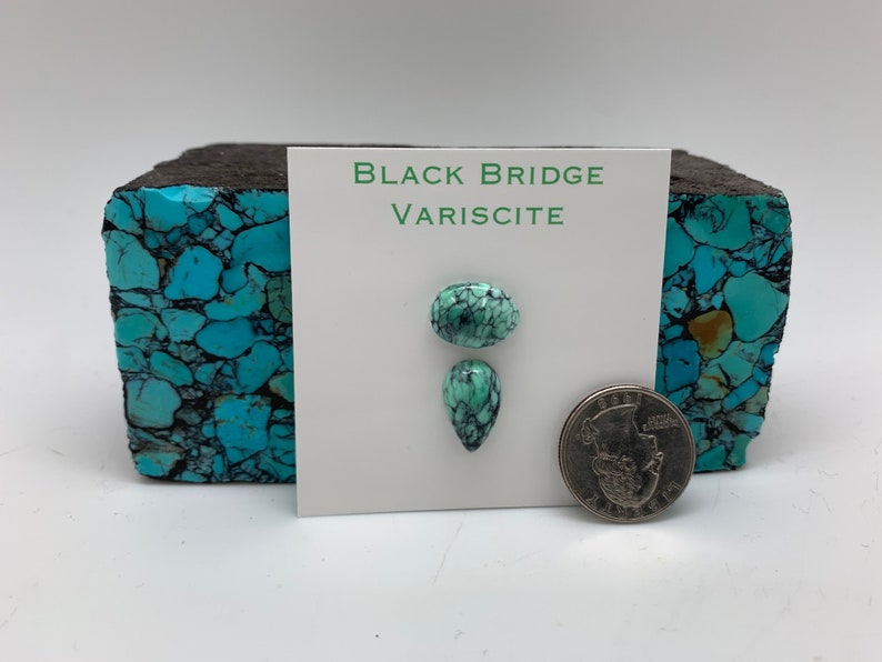 May include: Two green and black variscite cabochons, one oval and one teardrop shaped, are displayed on a white card with the text "BLACK BRIDGE VARISCITE". A US quarter is shown for scale.