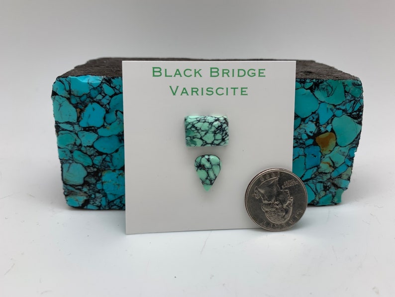 May include: Two pieces of Black Bridge Variscite, a green gemstone with black veins, are displayed on a white card with a US quarter for scale. The card reads "Black Bridge Variscite".