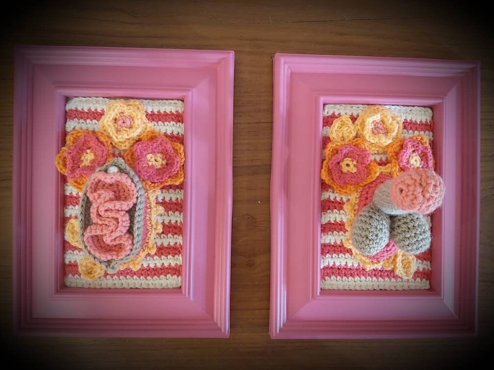 Duo de Cadres Décoratifs Vulve et Zizi