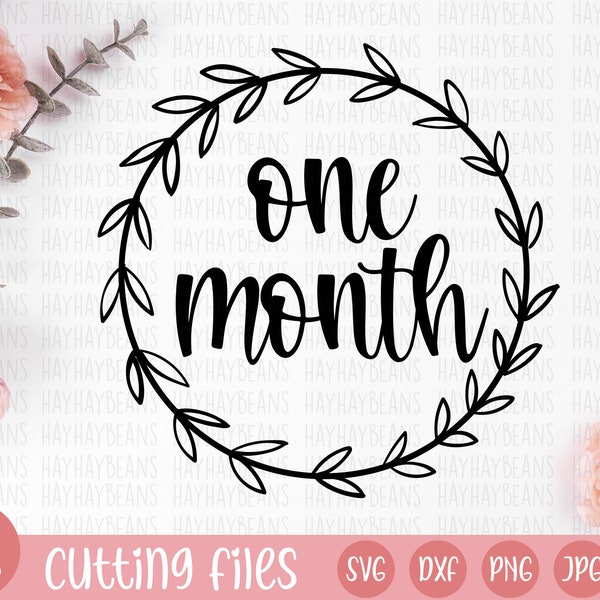 one month svg | baby milestones svg | baby svg | first month svg | 1st month svg | baby cricut svg | svg files for cricut | baby month svg