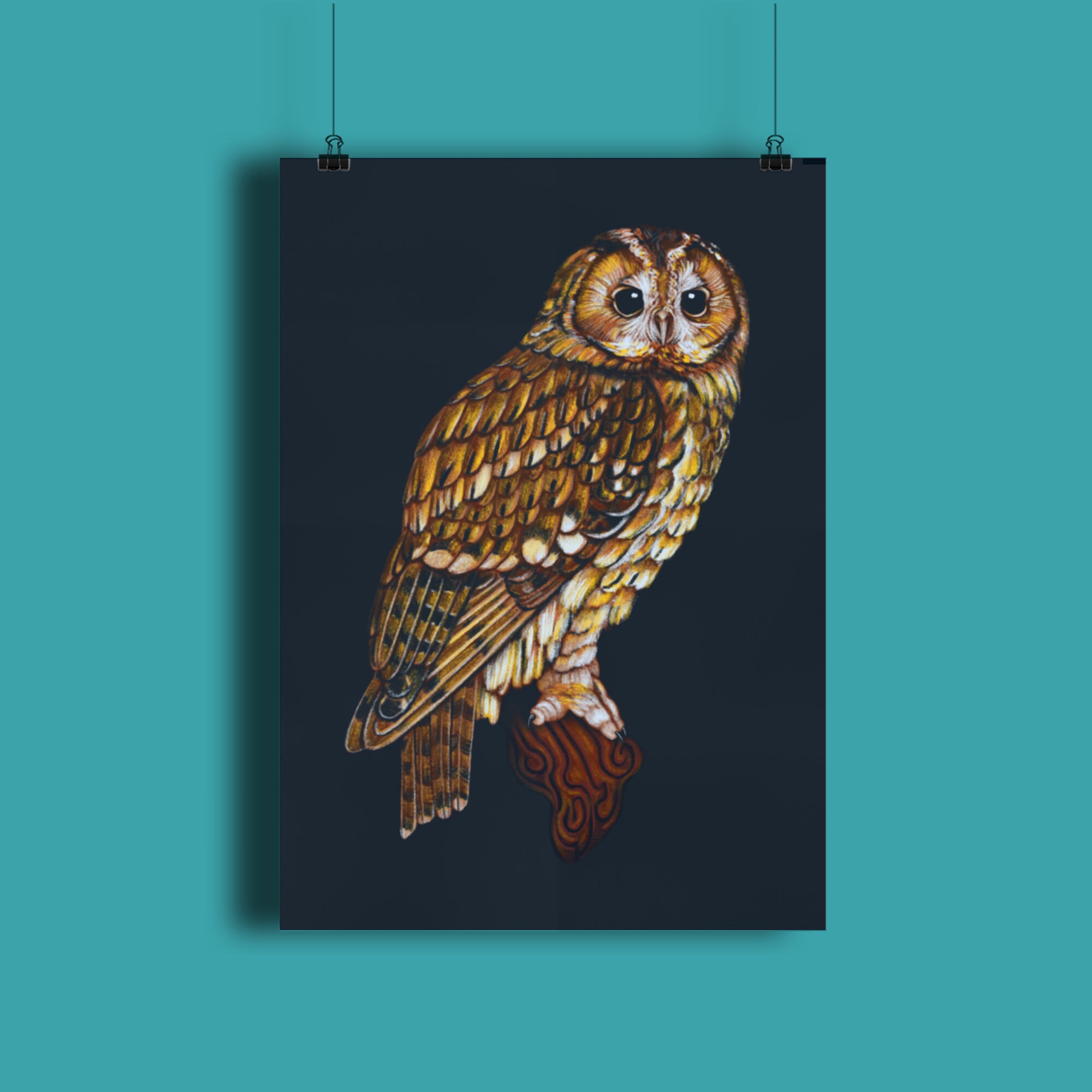 Owl Wall Art Owl Nursery Art Prints Of Owls Owl Artwork Etsy