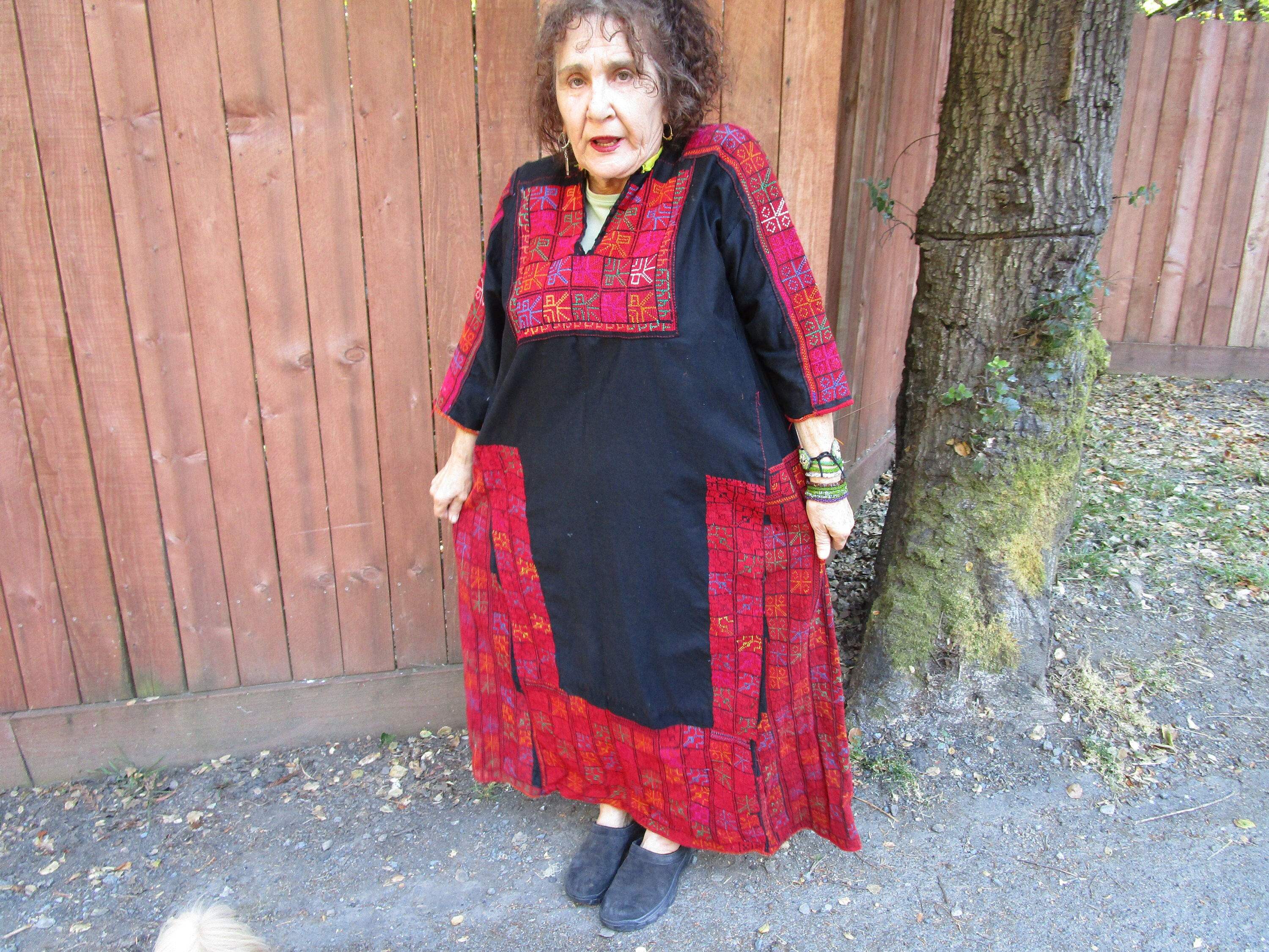 Traditional Palestinian Costume 民族衣装 本 Traditional Palestinian Costume | Book by Hanan Karaman