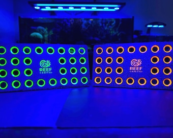 Vibrant Neon Adjustable Frag Rack, Multiple Color Options