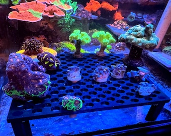 Adjustable Frag Rack for Coral Reef Aquariums  8x8