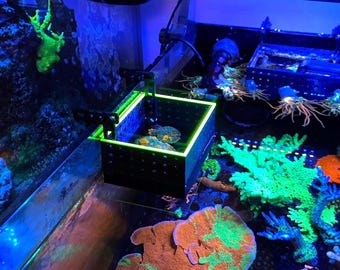 Neon Mushroom/Anemone Basket Cage (Hang-On)