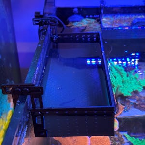 Mega Mushroom/Anemone Basket (Hang On), Neon Options
