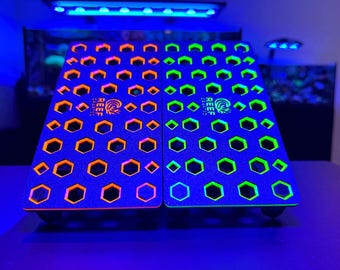 Bright Neon Adjustable Frag Rack, Multiple Color Options