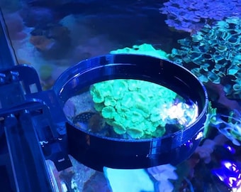 Adjustable Fish Feeding Ring - Aquarium, Fits Any Size Tank