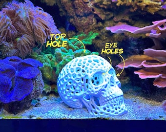 Fish/Shrimp Hide, Skull Holes, Multiple Colors and Sizes