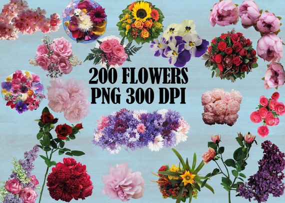 Bundle Real Flowers Clipart Valentines Flower Printing Etsy Bundle Real Flowers Clipart Valentines Flower Printing Etsy