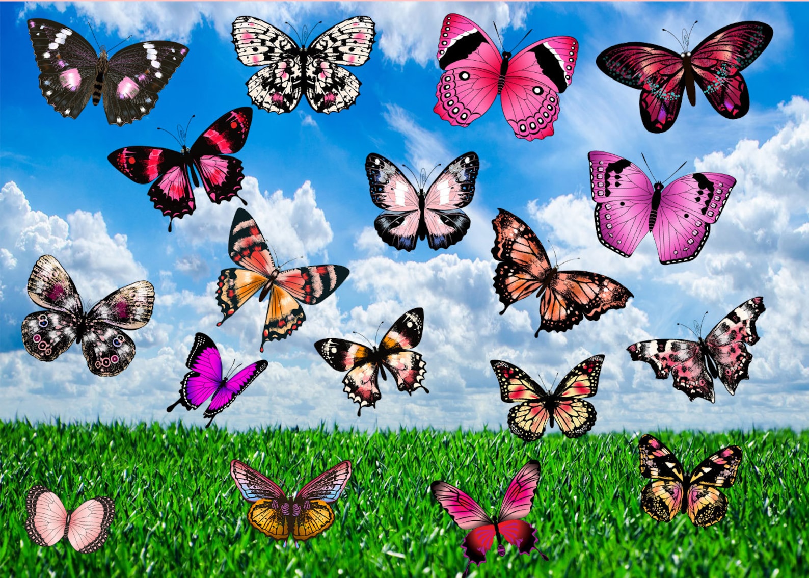 150 Butterflies Photo Overlays Butterfly Overlays for Etsy