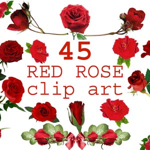 45 Red Rose Clipart Digital, Red Roses Clipart, Red Single Bouquet, Flower Clip Art, Graphic Bunch of Red Roses, Floral Printable, PNG files