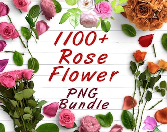 1100+ Rose Flower PNG Bundle, Red Floral Clipart, Wedding Photo Overlay, Sublimation, Pink Rose