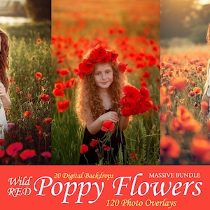 120 Wild Poppies Photo Overlays for Photoshop, shooting through the poppies overlays, digital backdrop fields of Red Poppy summer flowers