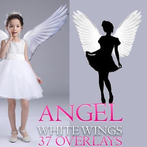 37 Angel Wings Overlays Transparent, Digital Wings overlays, magic fairy wight wing, White Angel Wings Clip Art, Photo Overlays, Wings PNG