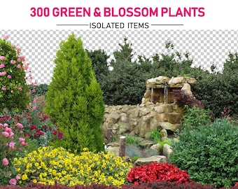 300 Green Plant Bundle, Wild Foliage, Green Grass, Botanical Clipart, Cutout PNG