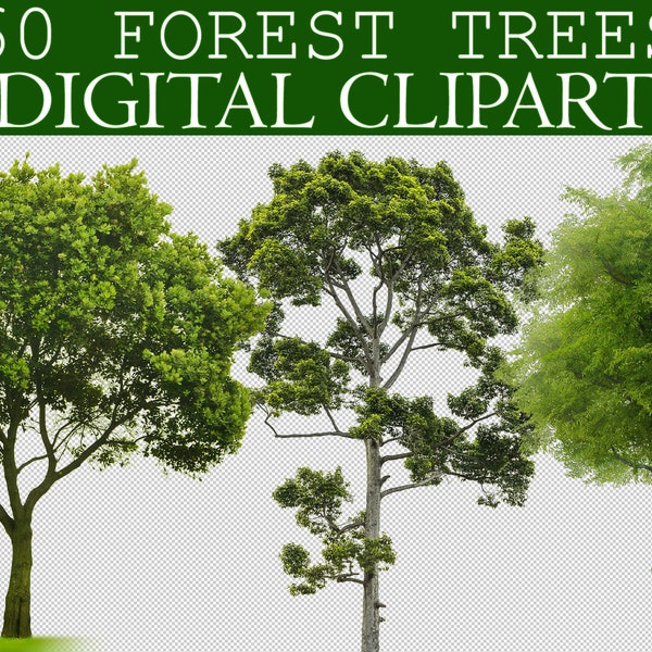 60 Forest Tress Clipart, Digital Tree Cut Out, Green Tree Photoshop Overlays Photo Overlay Isolated Oak Small Trees PNG Transparent clip art