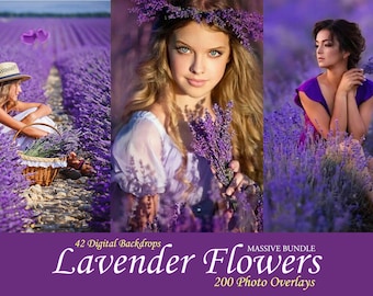 200 superposiciones fotográficas de lavanda, campos de lavanda francesa, fondos de flores de ensueño, flores de verano moradas