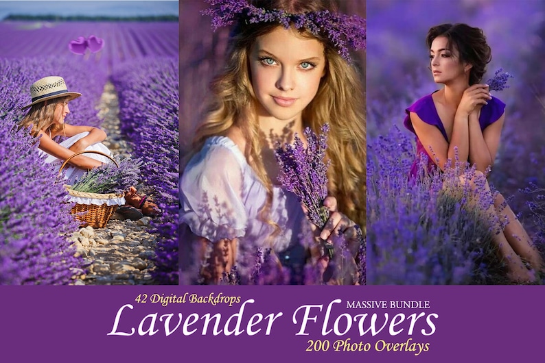 Puede incluir: Un collage digital de tres im&aacute;genes con mujeres en un campo de flores de lavanda. La primera imagen muestra a una mujer con un sombrero y un vestido blanco, sentada en el campo de lavanda. La segunda imagen muestra a una mujer con una corona de flores de lavanda en el pelo, sosteniendo un ramo de lavanda. La tercera imagen muestra a una mujer con un vestido morado, sentada en el campo de lavanda. El texto "42 Digital Backdrops" y "Lavender Flowers 200 Photo Overlays" se muestra en la parte inferior del collage.