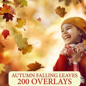 Autumn Leaves Overlays, Falling Leaves, Fall leaves, Autumn Leaf, realistic, Raining Leaves, Autumn Overlays, Photoshop Overlays, PNG Files