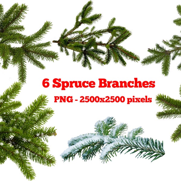 6 Spruce branches, tree branches overlay, conifer, Chistmas Overlay, PNG files, fir tree corner, snow on tree, winter clipart branches