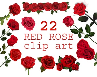 22 Red Rose Clipart Digital, Red Roses Clipart, Red Single Bouquet, Flower Clip Art, Graphic Bunch of Red Roses, Floral Printable, PNG files