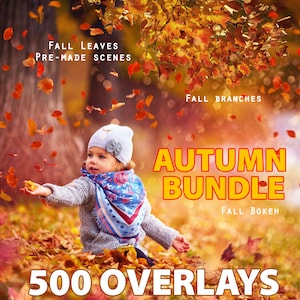 500 Autumn Leaves photo overlays, Falling Leaves, Fall leaves, realistic autumn Leaf, Raining Leaves, Autumn Photoshop Overlays, PNG Files